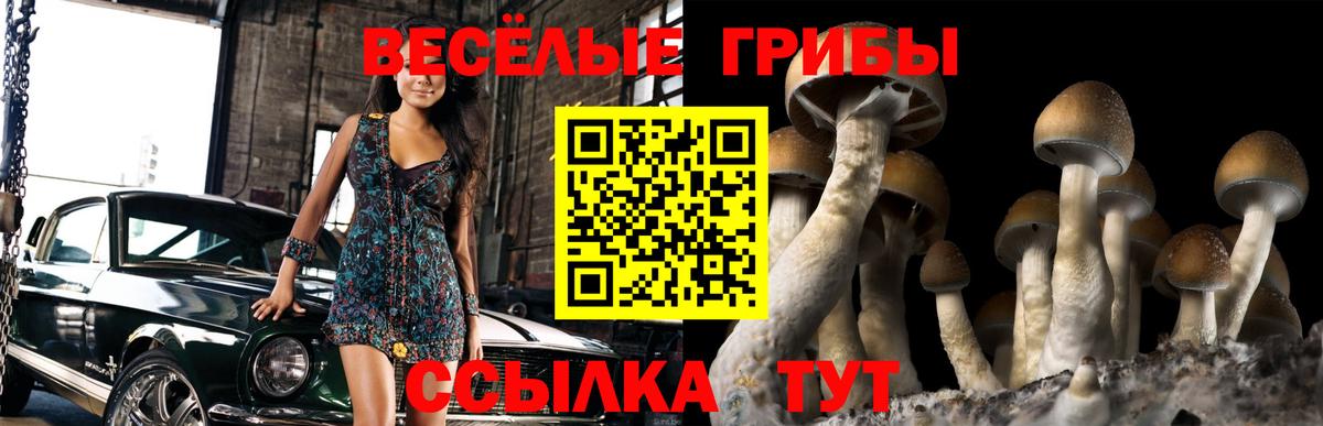 Губкинский  Галлюциногенные грибы GOLDEN TEACHER  Галлюциногенные грибы MAGIC MUSHROOMS  Вход с VPN 